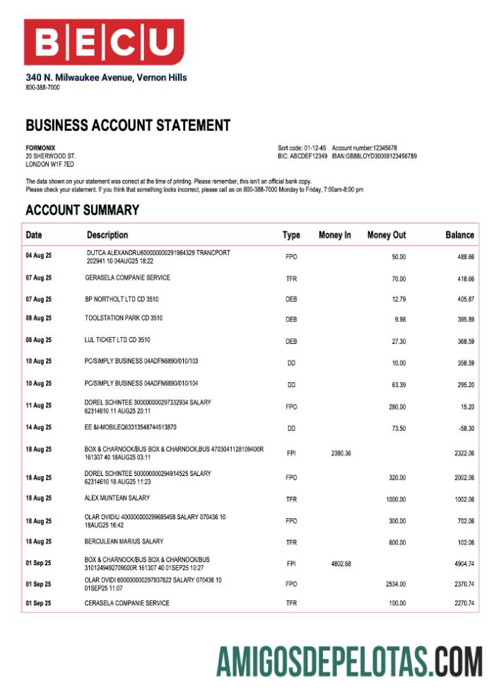 Em branco USA BECU Organization Statement Modelo Word e PDF